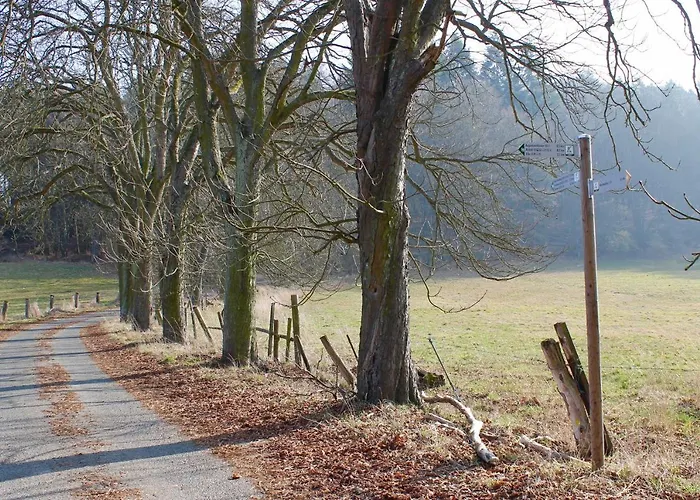 Inn Zur Hardtmühle Alsfeld